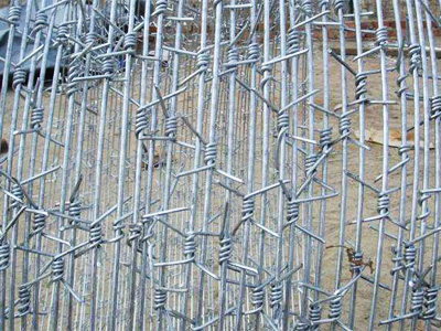 單股刺繩 單股刺繩